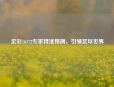 足彩16172专家精准预测，引领足球世界
