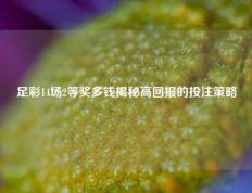 足彩14场2等奖多钱揭秘高回报的投注策略