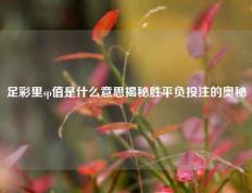 足彩里sp值是什么意思揭秘胜平负投注的奥秘