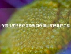 在哪儿买世界杯足彩如何在哪儿买世界杯足彩