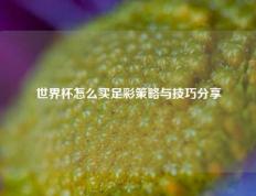 世界杯怎么买足彩策略与技巧分享