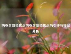 西安足彩销售点西安足彩销售点的变迁与现状分析