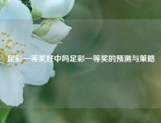 足彩一等奖好中吗足彩一等奖的预测与策略