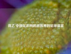 荷乙 中国足彩网跨越国界的足球盛宴