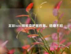 足彩16182期解盘把握胜算，稳赚不赔