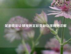足彩竞彩让球规则足彩竞彩让球规则详解