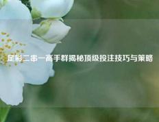 足彩二串一高手群揭秘顶级投注技巧与策略