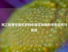 阿乙联赛中国足彩网中国足彩网的未来趋势与挑战