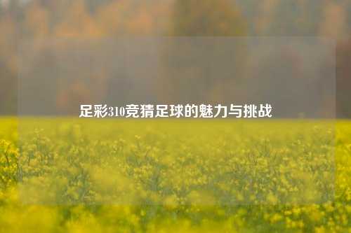 足彩310竞猜足球的魅力与挑战
