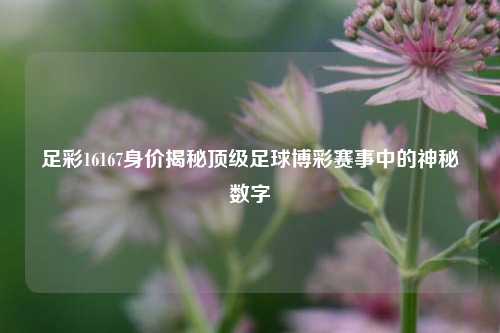 足彩16167身价揭秘顶级足球博彩赛事中的神秘数字