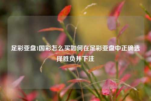足彩亚盘1国彩怎么买如何在足彩亚盘中正确选择胜负并下注