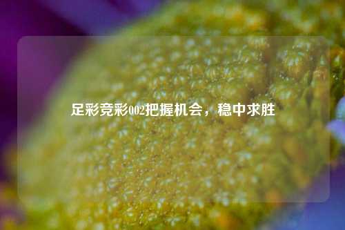 足彩竞彩002把握机会，稳中求胜
