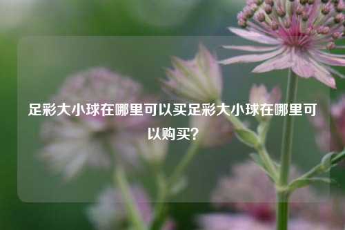 足彩大小球在哪里可以买足彩大小球在哪里可以购买？
