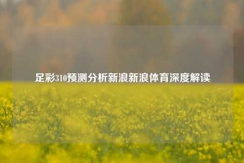 足彩310预测分析新浪新浪体育深度解读