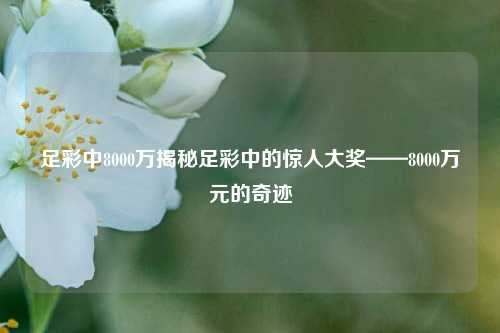 足彩中8000万揭秘足彩中的惊人大奖——8000万元的奇迹
