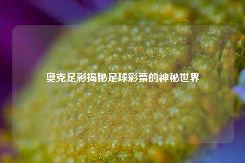 奥克足彩揭秘足球彩票的神秘世界
