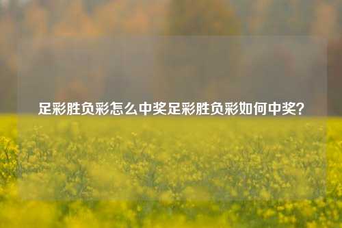 足彩胜负彩怎么中奖足彩胜负彩如何中奖？