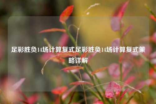 足彩胜负14场计算复式足彩胜负14场计算复式策略详解