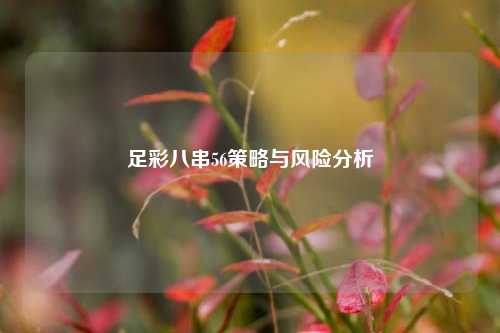 足彩八串56策略与风险分析