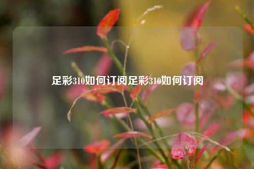 足彩310如何订阅足彩310如何订阅