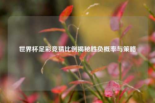 世界杯足彩竞猜比例揭秘胜负概率与策略