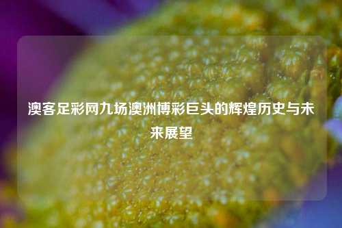 澳客足彩网九场澳洲博彩巨头的辉煌历史与未来展望