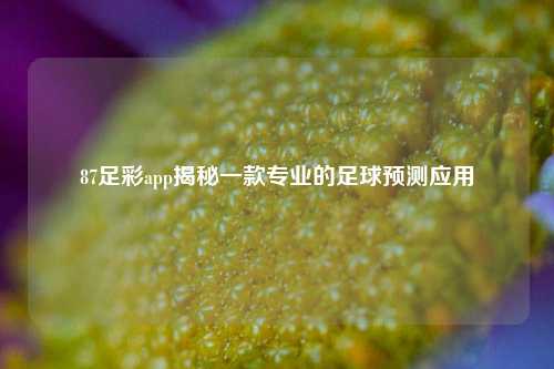 87足彩app揭秘一款专业的足球预测应用