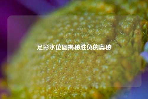 足彩水位图揭秘胜负的奥秘