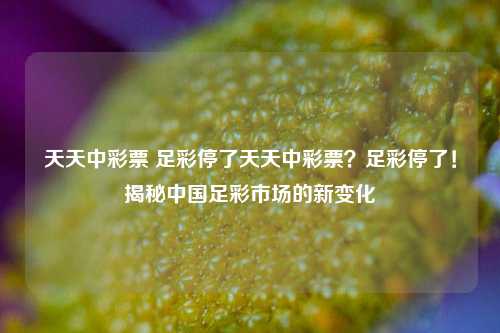 天天中彩票 足彩停了天天中彩票？足彩停了！揭秘中国足彩市场的新变化
