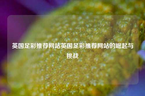 英国足彩推荐网站英国足彩推荐网站的崛起与挑战