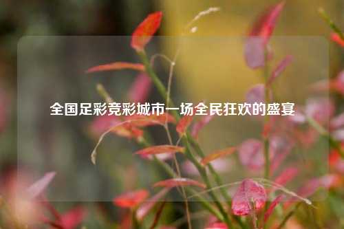 全国足彩竞彩城市一场全民狂欢的盛宴