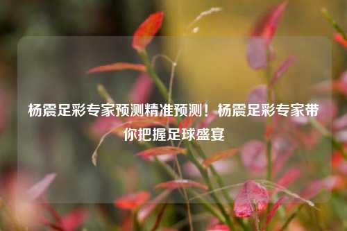 杨震足彩专家预测精准预测！杨震足彩专家带你把握足球盛宴