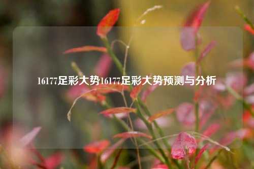 16177足彩大势16177足彩大势预测与分析