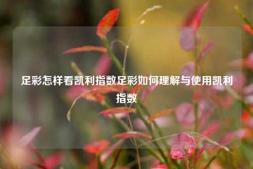 足彩怎样看凯利指数足彩如何理解与使用凯利指数