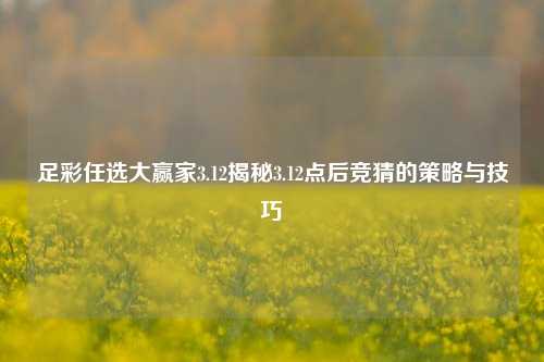 足彩任选大赢家3.12揭秘3.12点后竞猜的策略与技巧