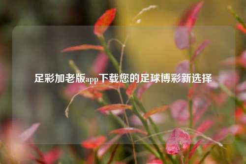 足彩加老版app下载您的足球博彩新选择