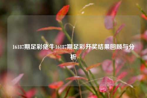 16187期足彩佬牛16187期足彩开奖结果回顾与分析