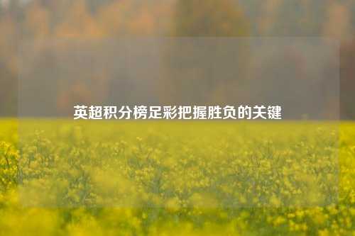英超积分榜足彩把握胜负的关键