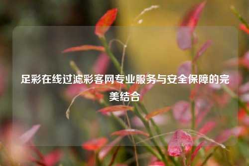 足彩在线过滤彩客网专业服务与安全保障的完美结合