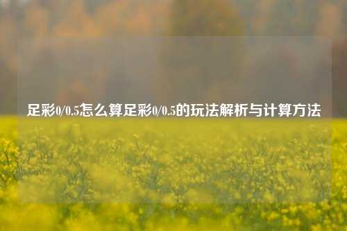 足彩0/0.5怎么算足彩0/0.5的玩法解析与计算方法